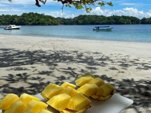 Ananas am Strand von Santa Catalina, Panama