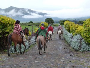 Ecuador Reisen Cotopaxi Reitausflug