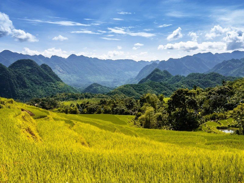 Landschaft mit Bergen und Reisfeldern bei Mai Chau in Vietnam