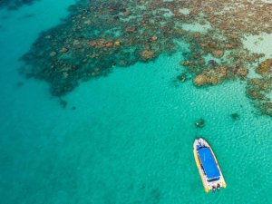 Luftaufnahme eines gelben Bootes im türkisfarbenen Wasser an einem Korallenriff in Australien mit Schnorchlern