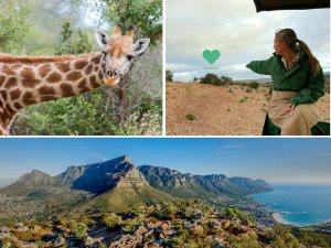 Top Reiseziele Südafrika