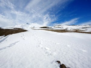 Verschneite Berglandschaft mit Wanderwegen unter klarem Himmel in Island