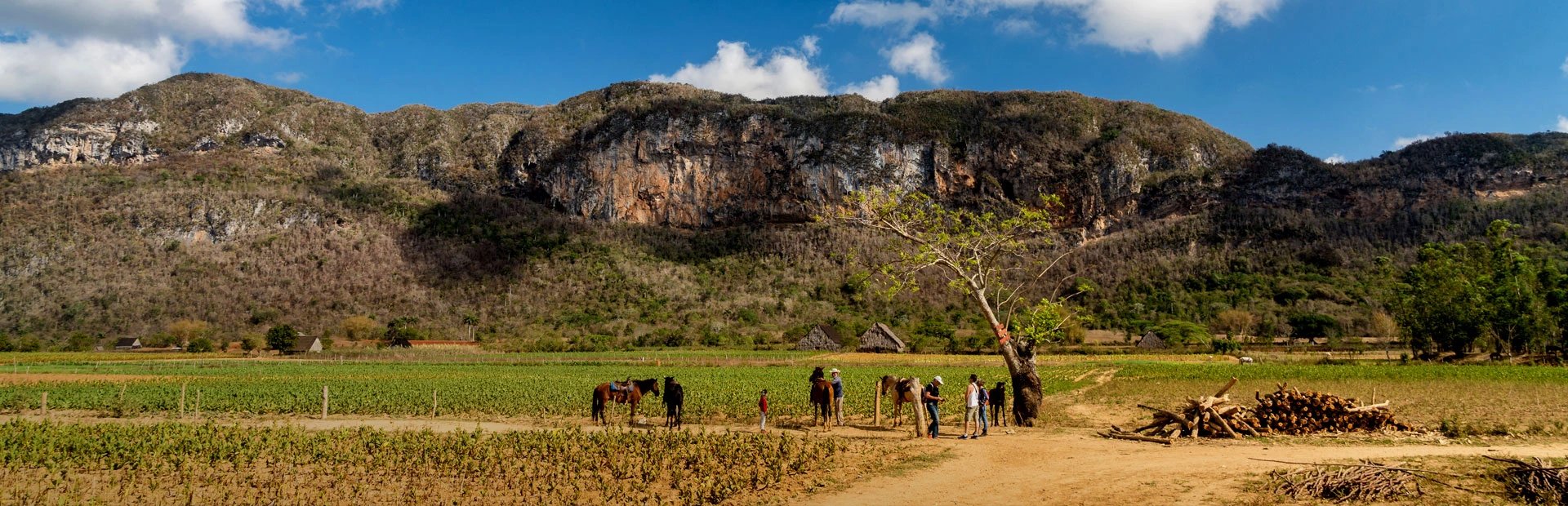 Panoramalandschaft eines grünen Tals mit hohen bewachsenen Kalksteinfelsen, Feldern und Menschen neben Pferden in Viñales, Kuba