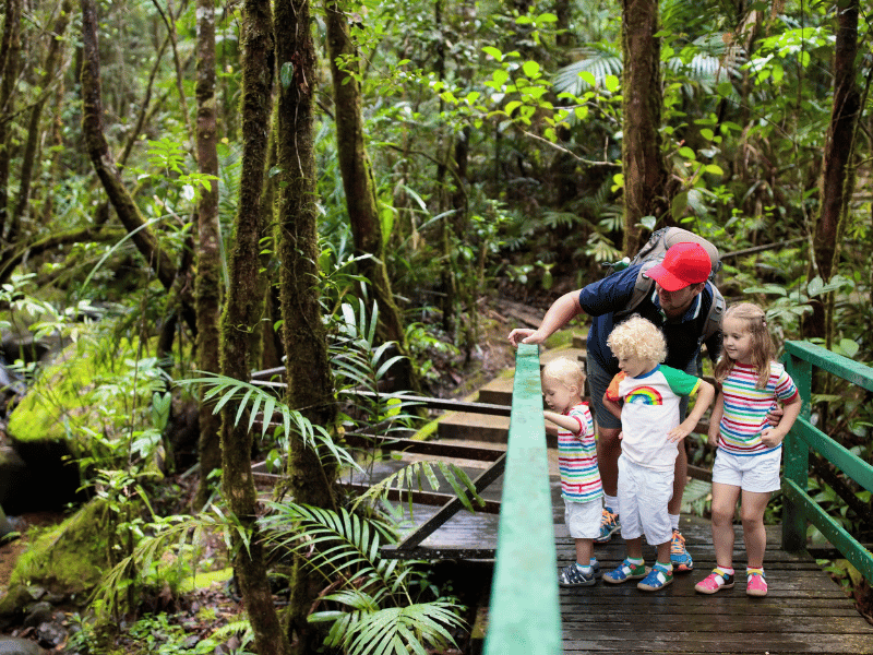Vater zeigt Kindern etwas während einer Wanderung im Dschungel in Costa Rica