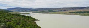 Panoramablick auf einen breiten hellen Fluss mit grünem bewaldetem Ufer sowie sanften Hügeln und Bergen im Hintergrund in Island