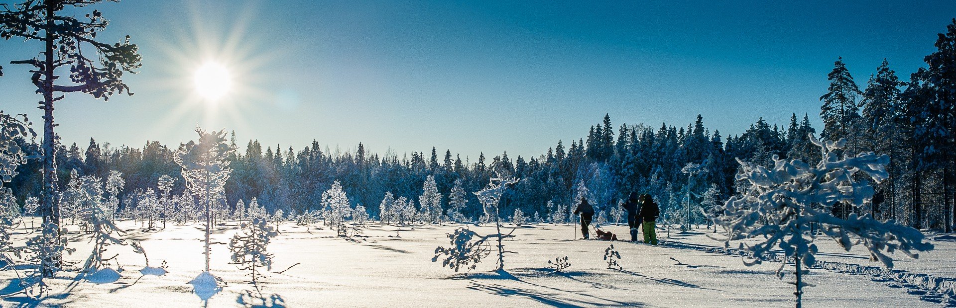 Auf Schneeschuhen durch den Winterwald in Lappland