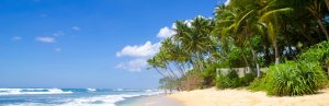 Tropischer Strand in Sri Lanka