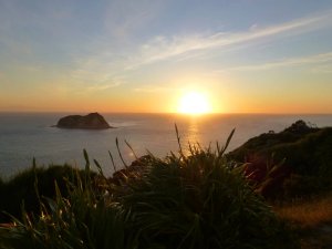 Der erste Sonnenaufgang am East Cape in Neuseeland.