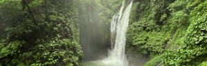 Aling Wasserfall im Secret Garden in Lovina auf Bali