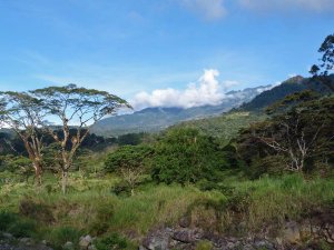 Landschaft rund um Boquete
