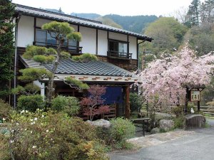 Minshuku im Kiso Tal von außen während der Kirschblüte