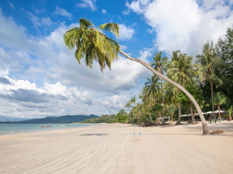 Palme am weiten Strand von Khao Lak