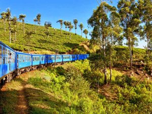 Zugfahrt durch die Teeplantagen in Sri Lanka