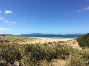 Blick auf Sandstrand und blauen Ozean in Australien hinter grasbewachsenen Dünen mit Bergen in der Ferne unter klarem blauem Himmel
