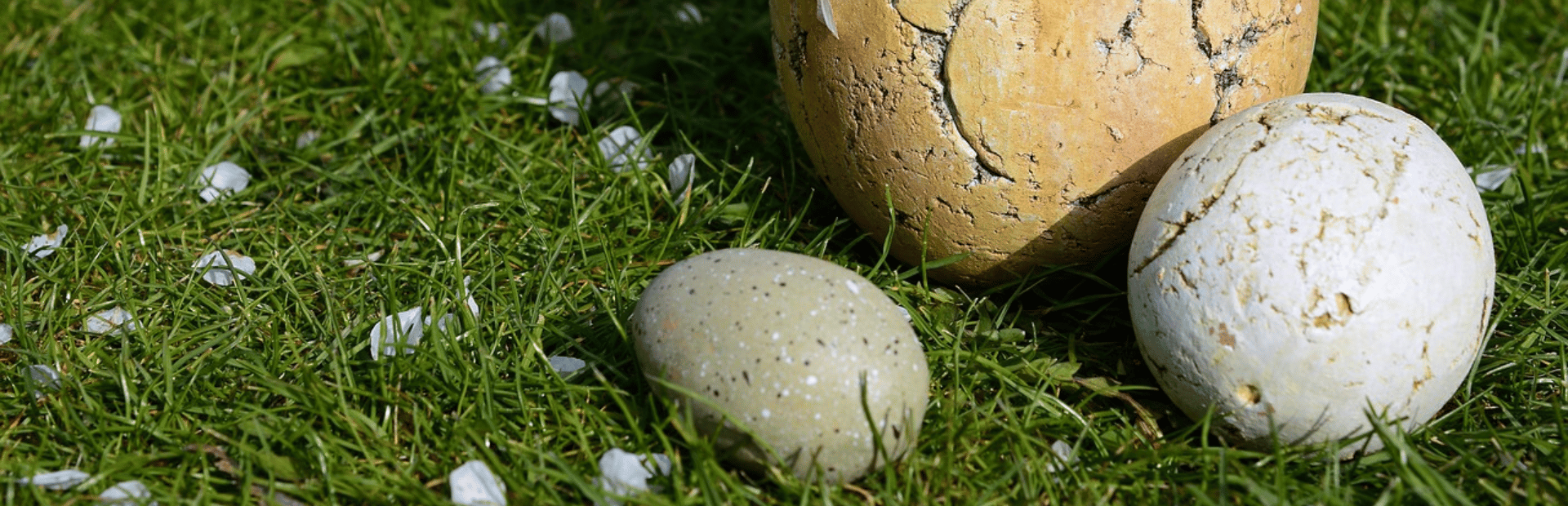 Ostern weltweit Hero