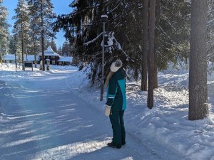 Viel Schnee erleben in Lappland