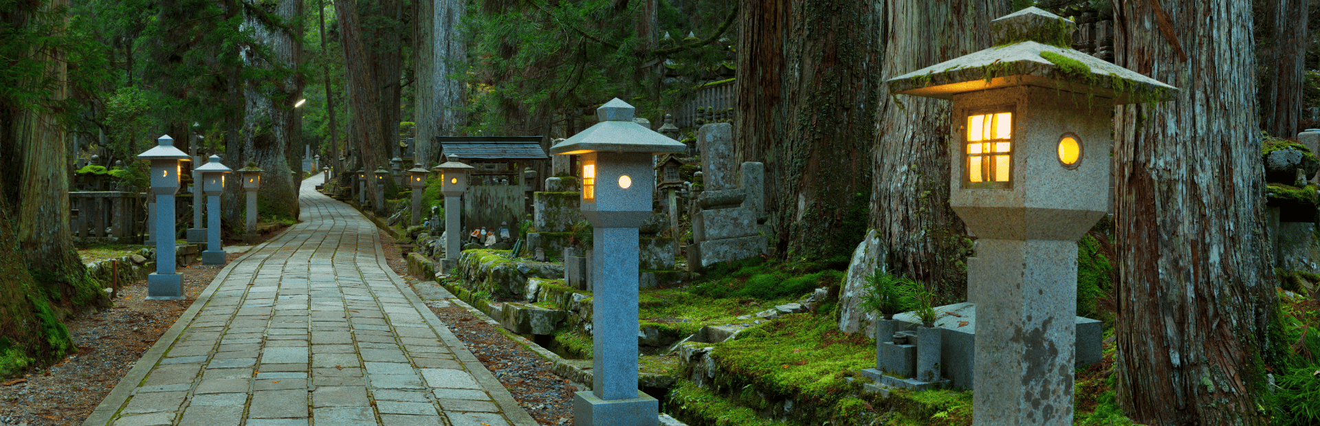 Steinlaternen am Abend in Koyasan auf dem Friedhof in Japan