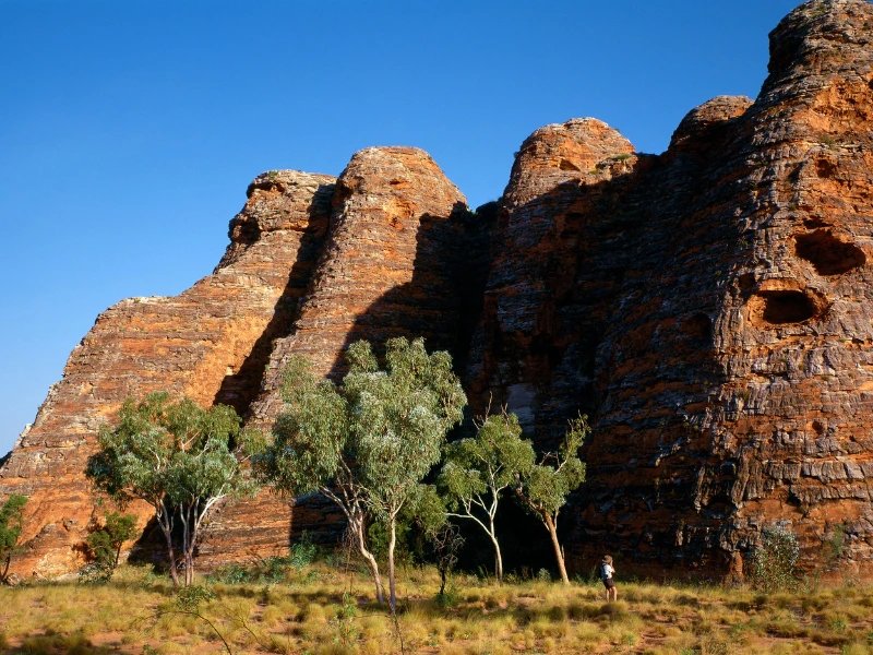 Felsen des Purnululu Nationalparks unter blauem Himmel