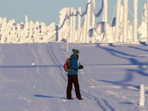 Reisende im Wald in Lappland