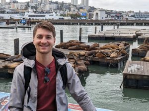 Seelöwen am Pier 39 in Fishermans Wharf