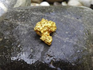 Sovereign Hill Gold Nugget