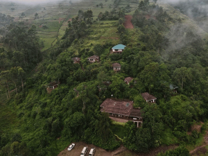 Bwindi Special Stay Hotel Luftperspektive