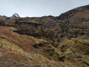 Moosbedeckte Berglandschaft mit roten Pflanzen, schmalem Wasserfall und schneebedecktem Gipfel in der Ferne in Island