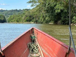 Mit dem Boot ins Amazonas Abenteuer - Ecuador Reisebericht