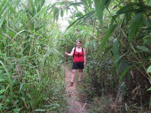 Tourist beim Trekking in der Natur im Norden von Thailand