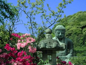 Blumen vor dem großen Buddha in Kamakura