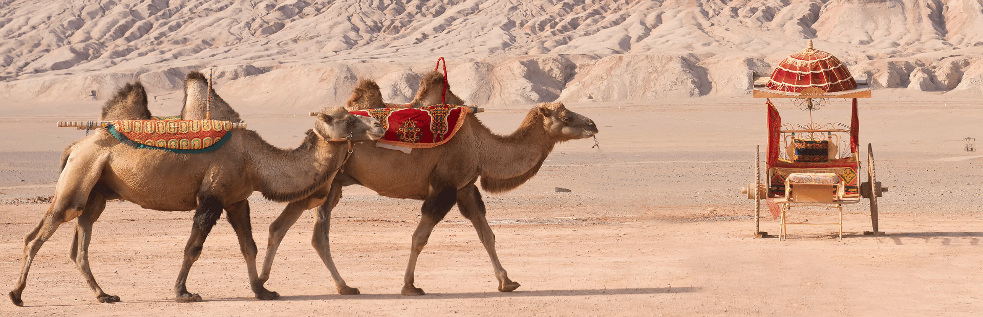 Kamele und Schattenwagen vor den brennenden Bergen in Turpan