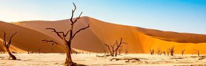 Namibia & Botswana