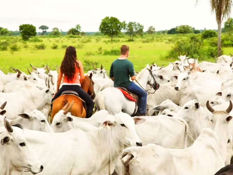 Reiten im Pantanal in Brasilien