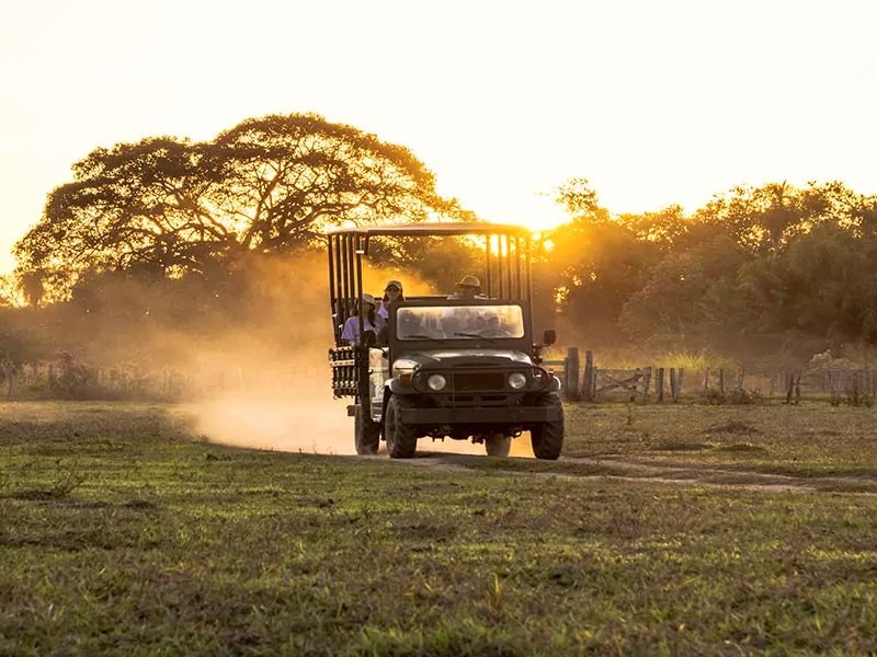 Truck fährt über die Steppe bei Pantanal im Sonnenuntergang in Brasilien