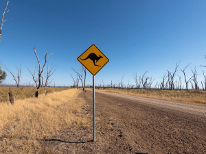 Australien Ostern Blog