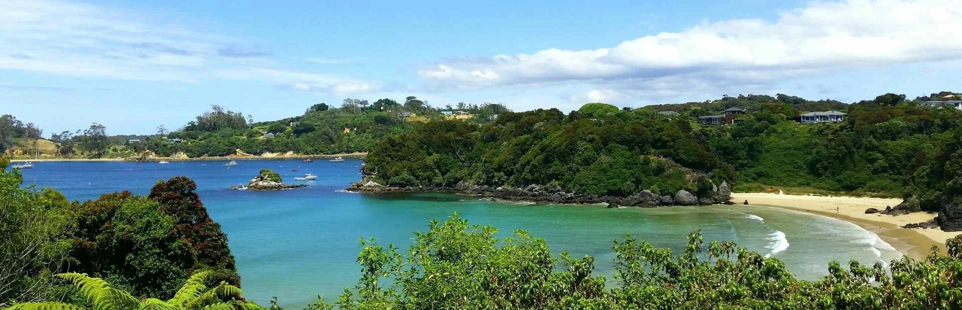 Strandbucht auf Stewart Island umgeben von vielen grünen Pflanzen in Neuseeland