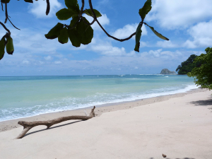Strand im Cabo Blanco Nationalpark in Costa Rica