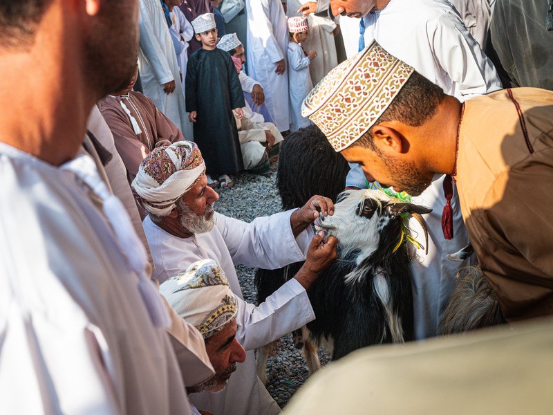 Einheimische auf dem Ziegenmarkt in Nizwa, Oman