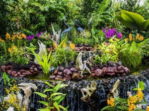 Botanischer Garten in SIngapur