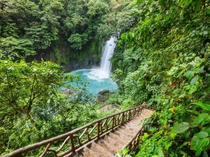 Costa Rica_im Dschungel_Ausflug