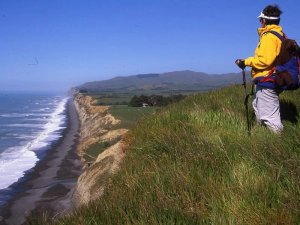 Person blickt über die Küste auf einer Wanderung in Kaikoura.