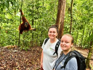Frauen mit Orang Utan in Bukit Lawang in Indonesien