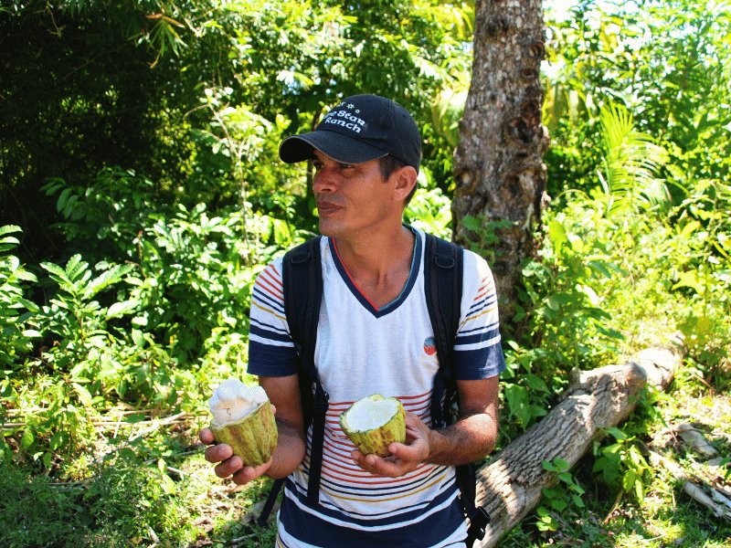 Mann mit Kappe hält zwei Hälften einer Kakaofrucht mit sichtbarem weißem Fruchtfleisch in einer grünen tropischen Umgebung in Baracoa, Kuba