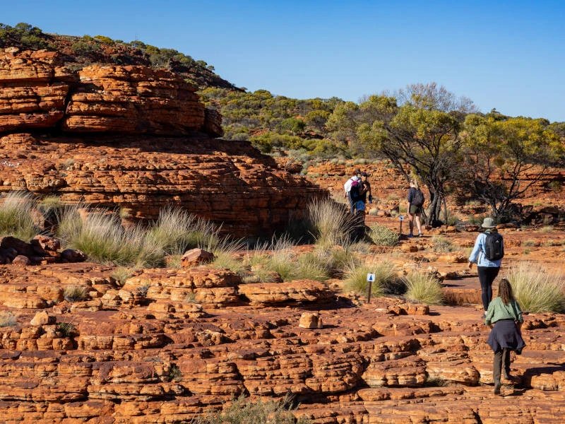 Personen wandern durch den Kings Canyon