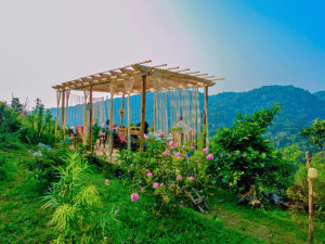 Bwindi Komfort Hotel Aussenanlage