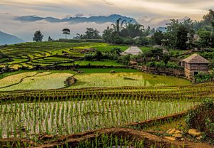 Telefonnummer Vietnam