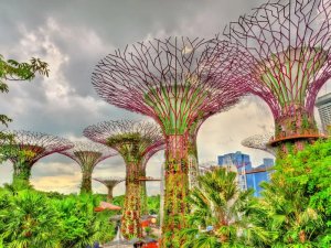 Gardens by the Bay in Singapur