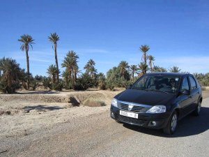 Mietwagen unter Palmen in Marokko