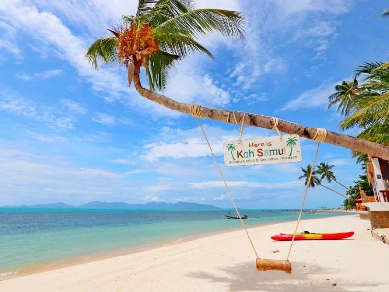 Schaukel an einer Palme am Strand von Koh Samui in Thailand
