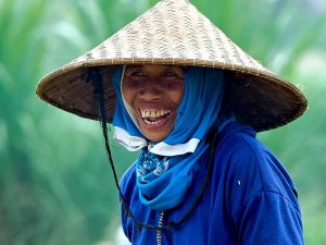 Reisbauer auf einem Feld in Bali
